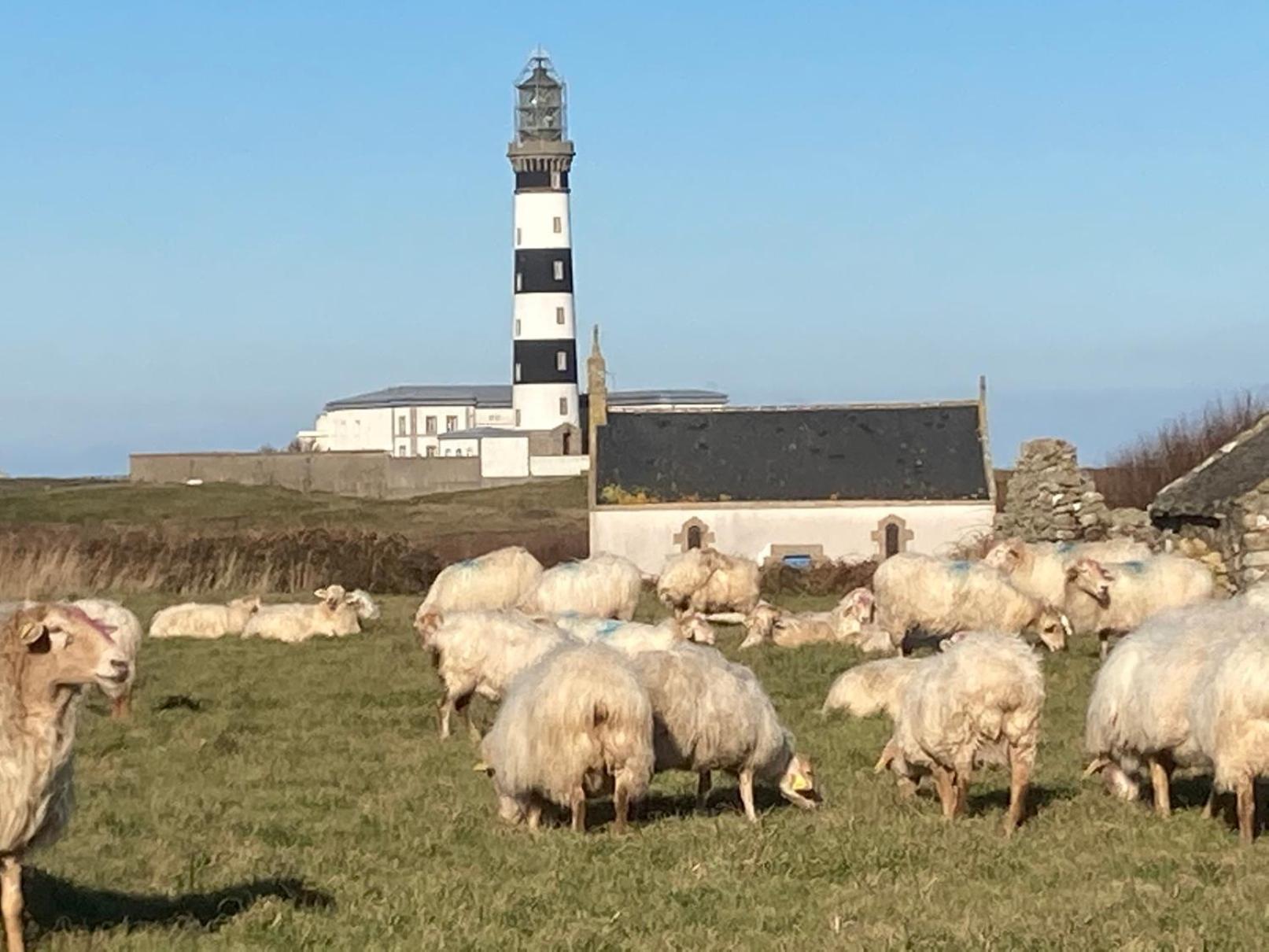 Moulin Des Baleines De Kérandraon *
